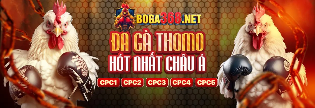 Đá Gà Trực Tuyến tại debet chính thức