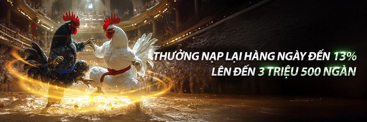 Hình ảnh tổng quan về nền tảng cá cược debet chính thức