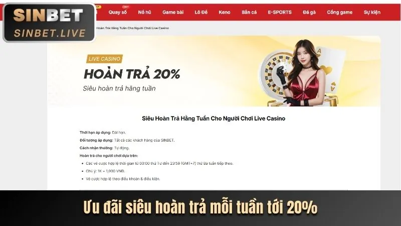 Tổng quan cá cược thể thao tại debet chính thức